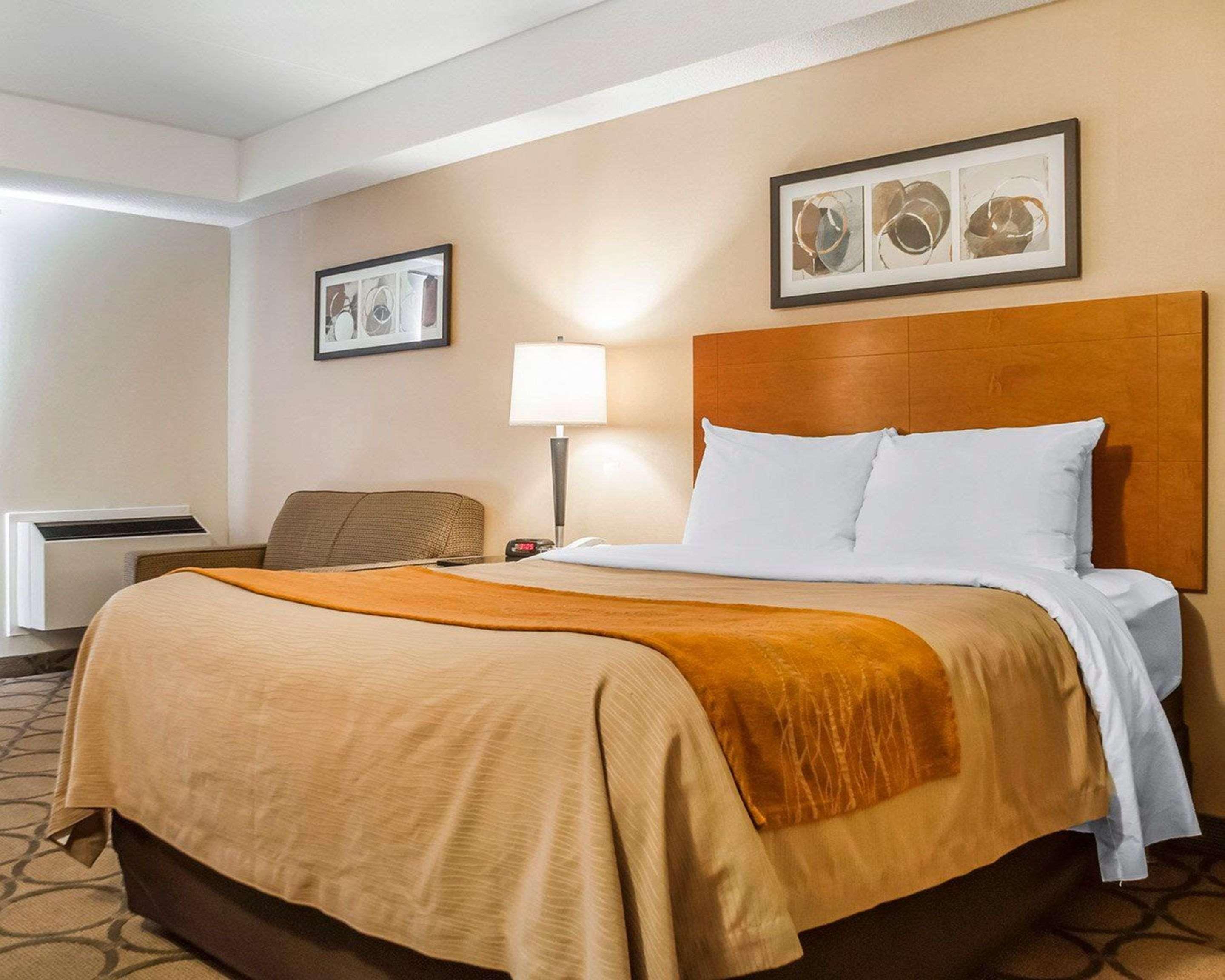 Mini-hôtel Comfort Newmarket