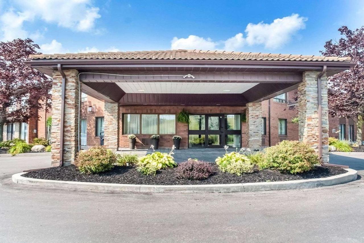 Mini-hôtel Comfort Newmarket