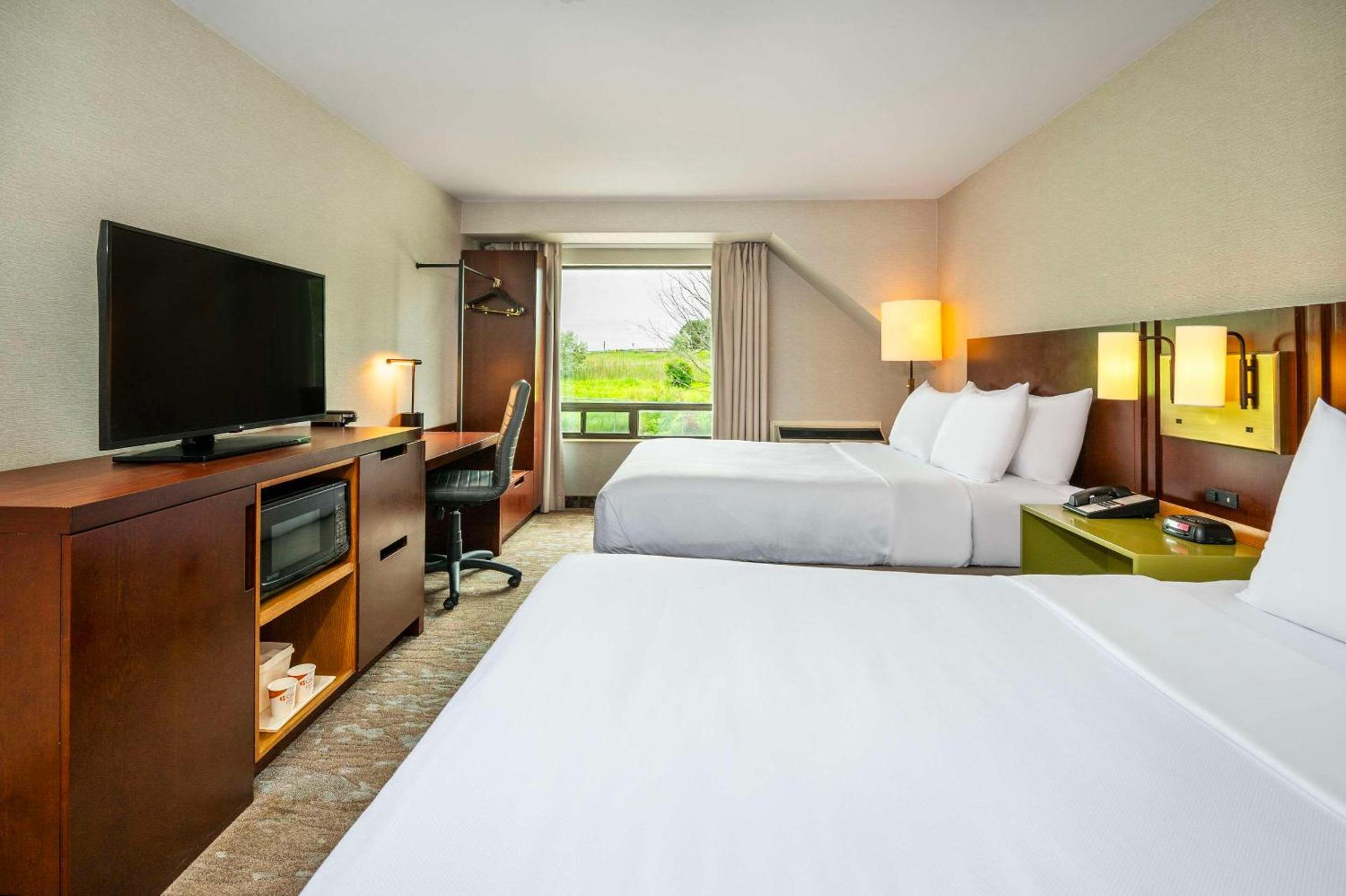 Mini-hôtel Comfort Newmarket