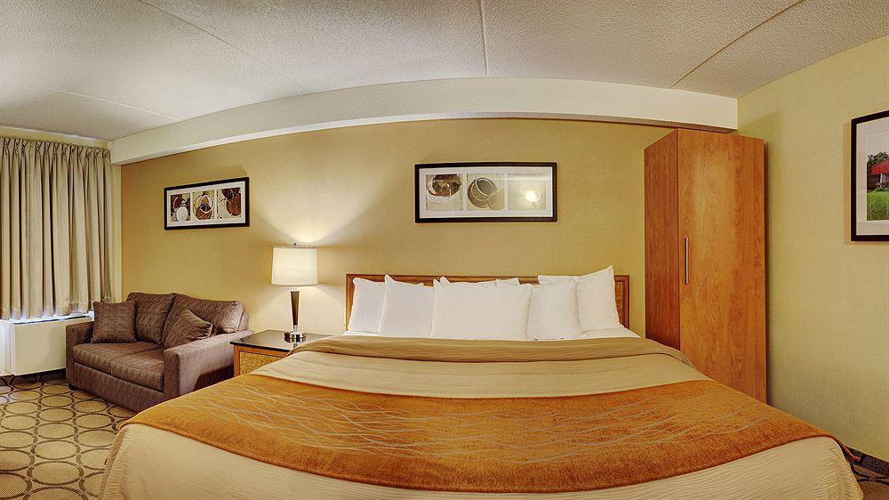 Comfort Mini-hôtel 3*
